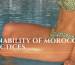 The Sustainability of Moroccan Beauty Practices